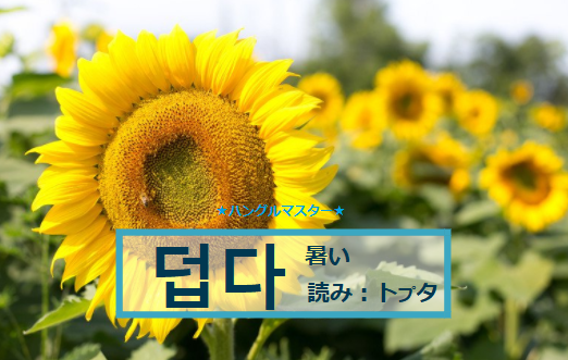 f:id:yukik8er:20180119223253p:plain f:id:yukik8er:20180119223253p:plain