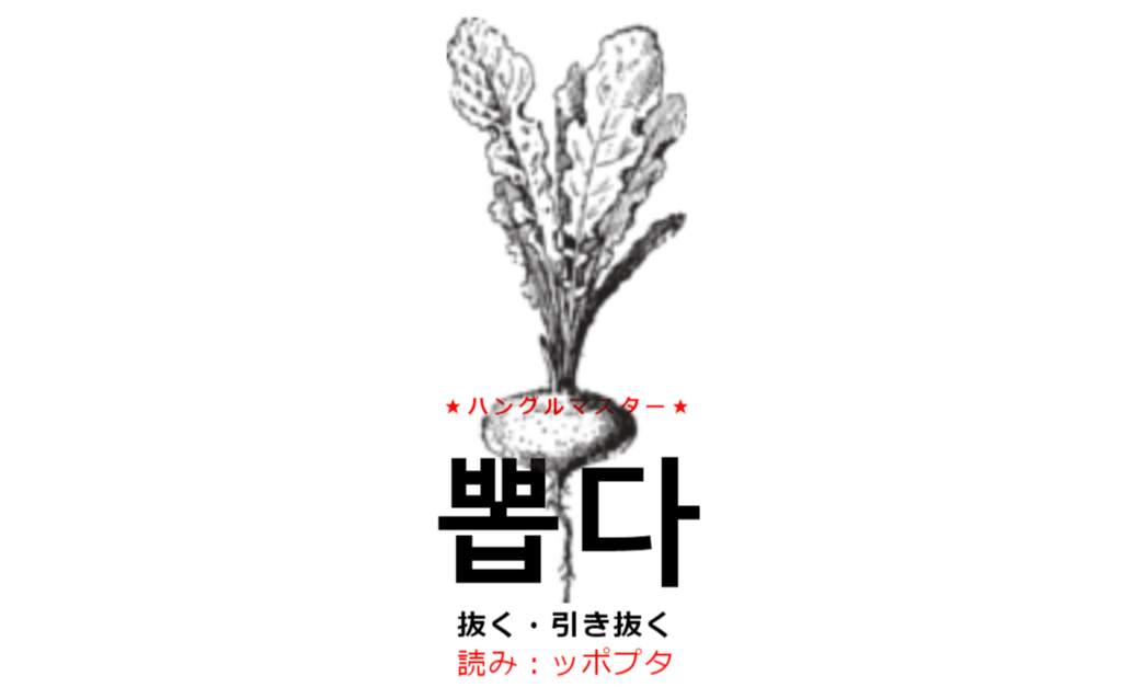f:id:yukik8er:20180205212713p:plain f:id:yukik8er:20180205212713p:plain