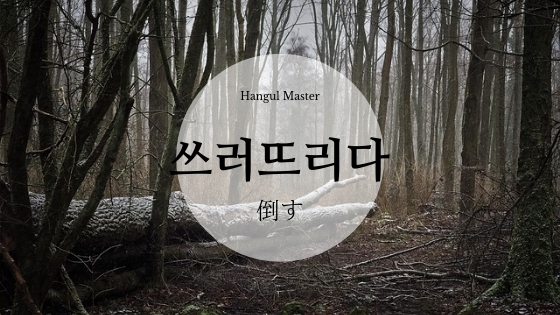 f:id:yukik8er:20190120114948j:plain f:id:yukik8er:20190120114948j:plain