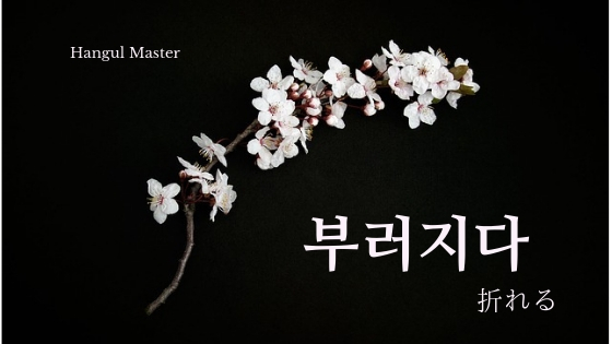 f:id:yukik8er:20190122125000j:plain f:id:yukik8er:20190122125000j:plain