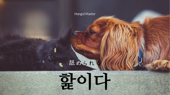 f:id:yukik8er:20190128100059j:plain f:id:yukik8er:20190128100059j:plain
