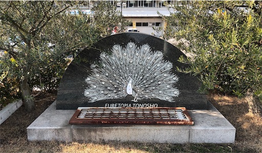 f:id:yukik8er:20190421183226j:image f:id:yukik8er:20190421183226j:image
