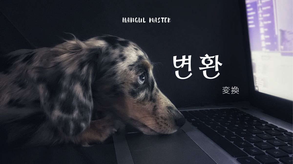 韓国語で 変換 とは 변환 意味を勉強しよう ハングルマスター