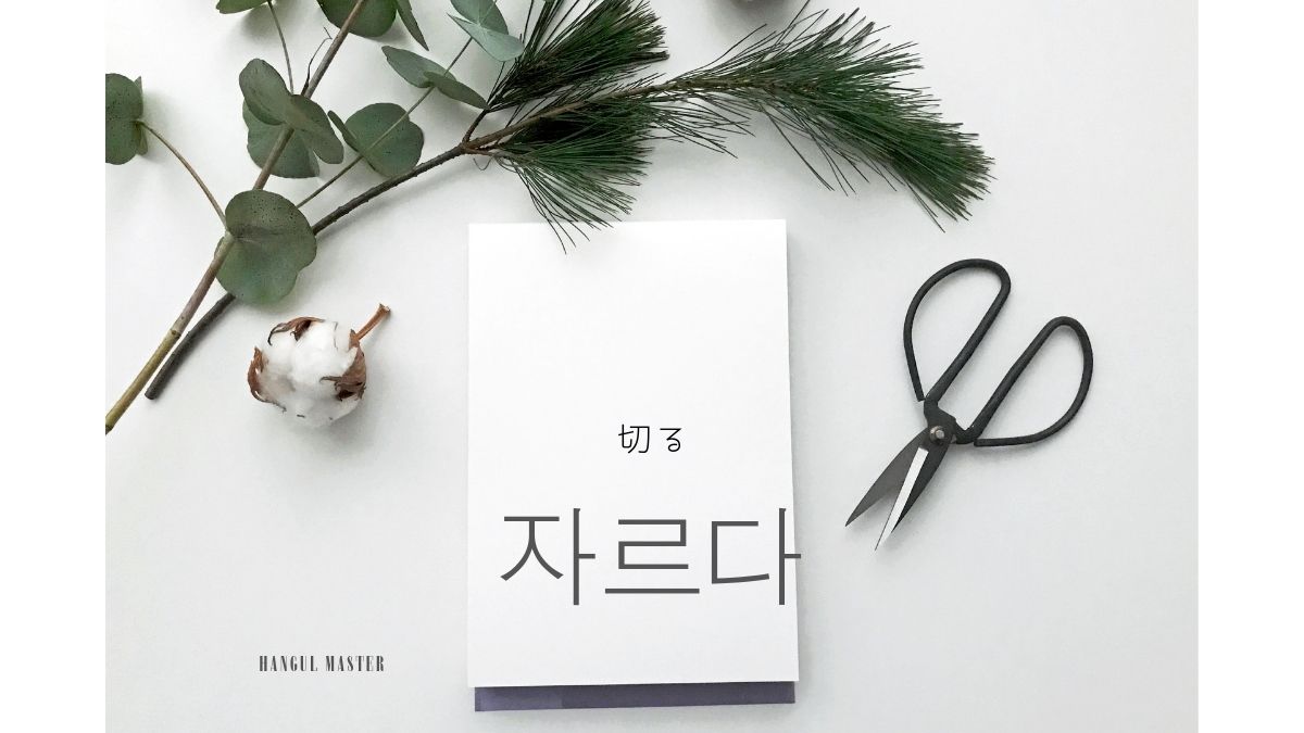 韓国語で 切る とは 자르다 意味を勉強しよう ハングルマスター