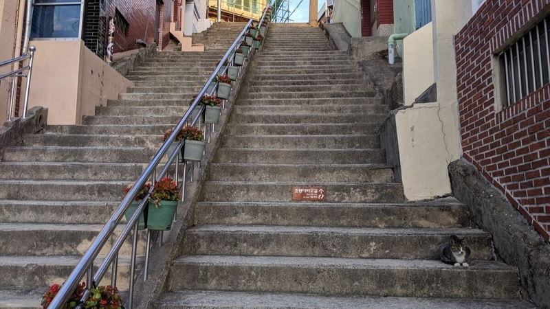 f:id:yukik8er:20190928235451j:plain f:id:yukik8er:20190928235451j:plain