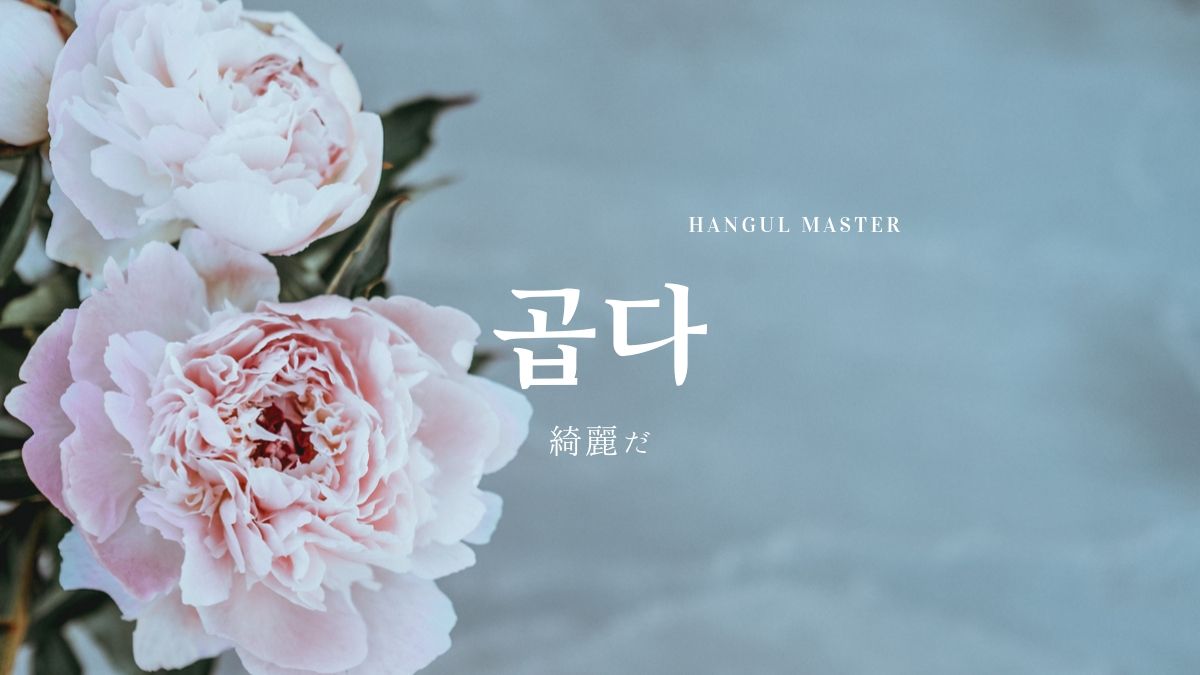 韓国語で 綺麗 を意味する 곱다 意味を勉強しよう ハングルマスター