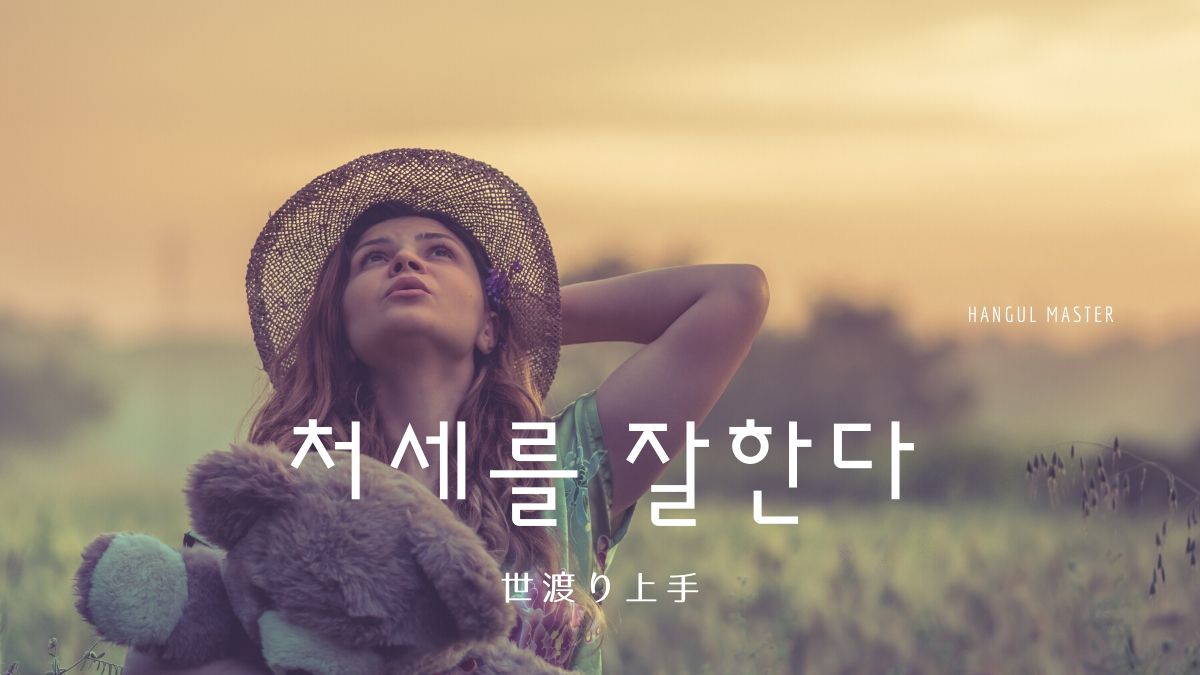 韓国語で 世渡り上手 とは 처세를 잘한다 意味を勉強しよう ハングルマスター 韓国語で 世渡り上手 とは 처세를 잘한다 意味を勉強しよう ハングルマスター