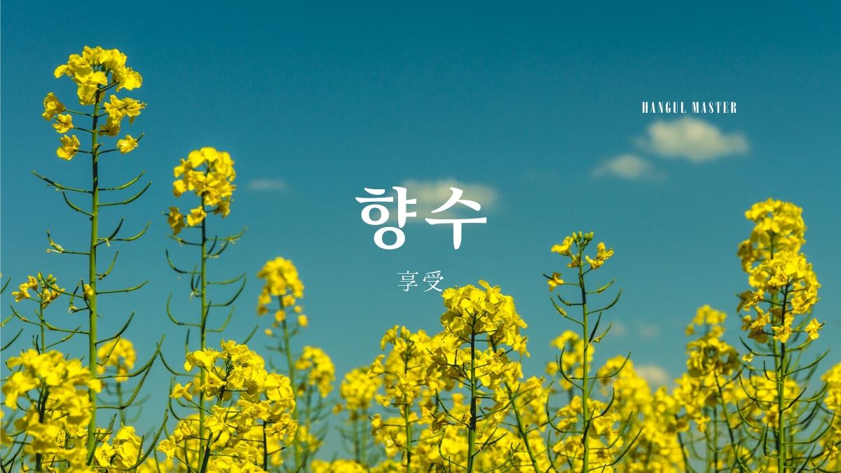韓国語で 享受 とは 향수 意味を勉強しよう ハングルマスター 韓国語で 享受 とは 향수 意味を勉強しよう ハングルマスター