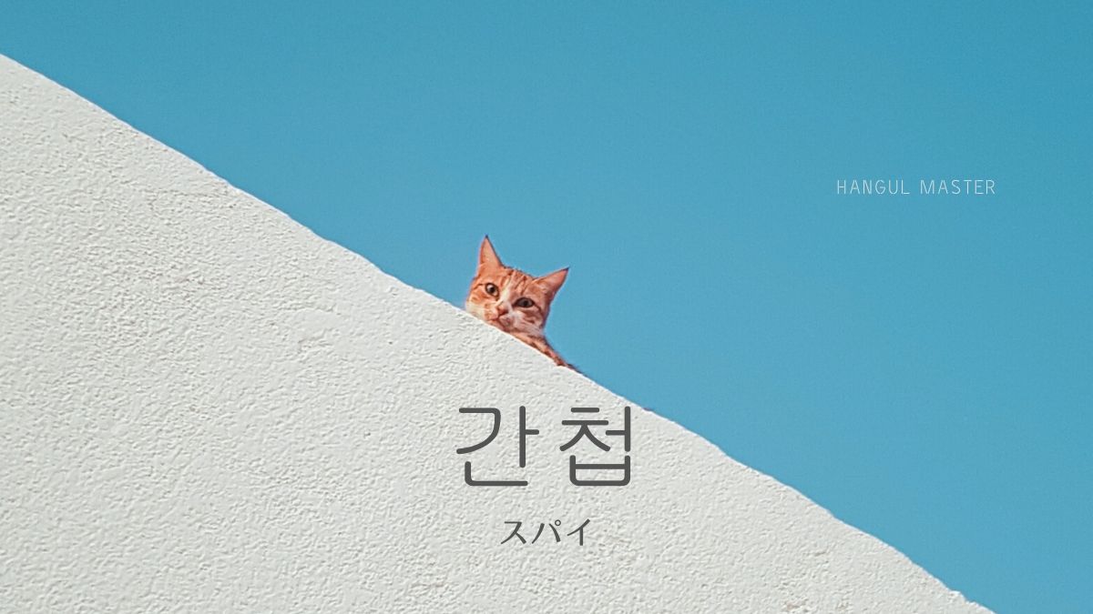 韓国語で「スパイ」とは？【간첩】意味を勉強しよう！ - ハングルマスター