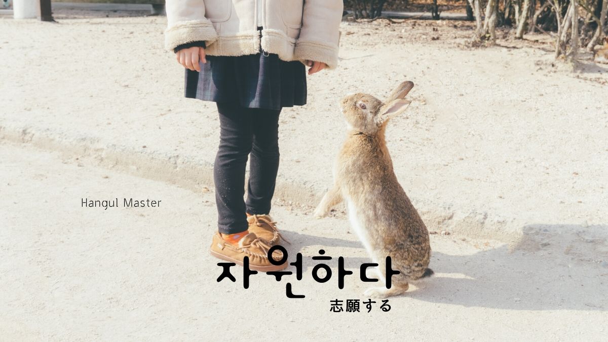 韓国語で 志願する とは 자원하다 意味を勉強しよう ハングルマスター