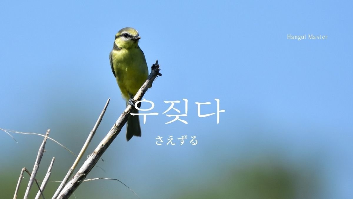韓国語で さえずる とは 우짖다 意味を勉強しよう ハングルマスター
