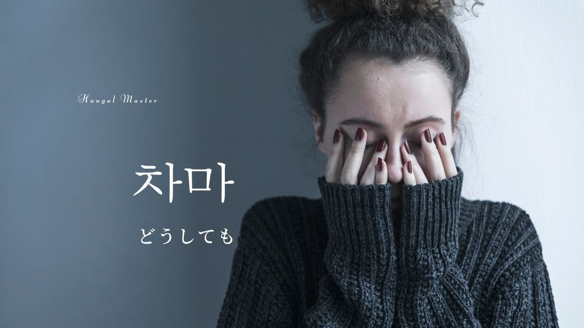 韓国語で どうしても とは 차마 意味を勉強しよう ハングルマスター