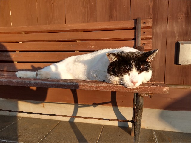 f:id:yukikatze:20200121065608j:image f:id:yukikatze:20200121065608j:image