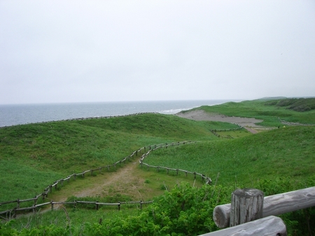 小清水原生花園