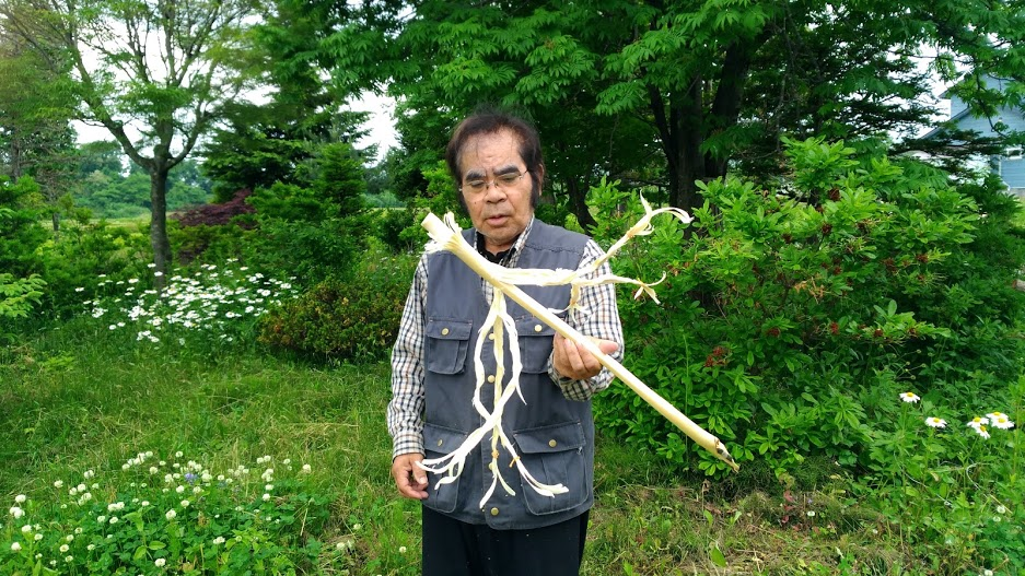 f:id:yukikoashiato:20180630081619p:plain f:id:yukikoashiato:20180630081619p:plain
