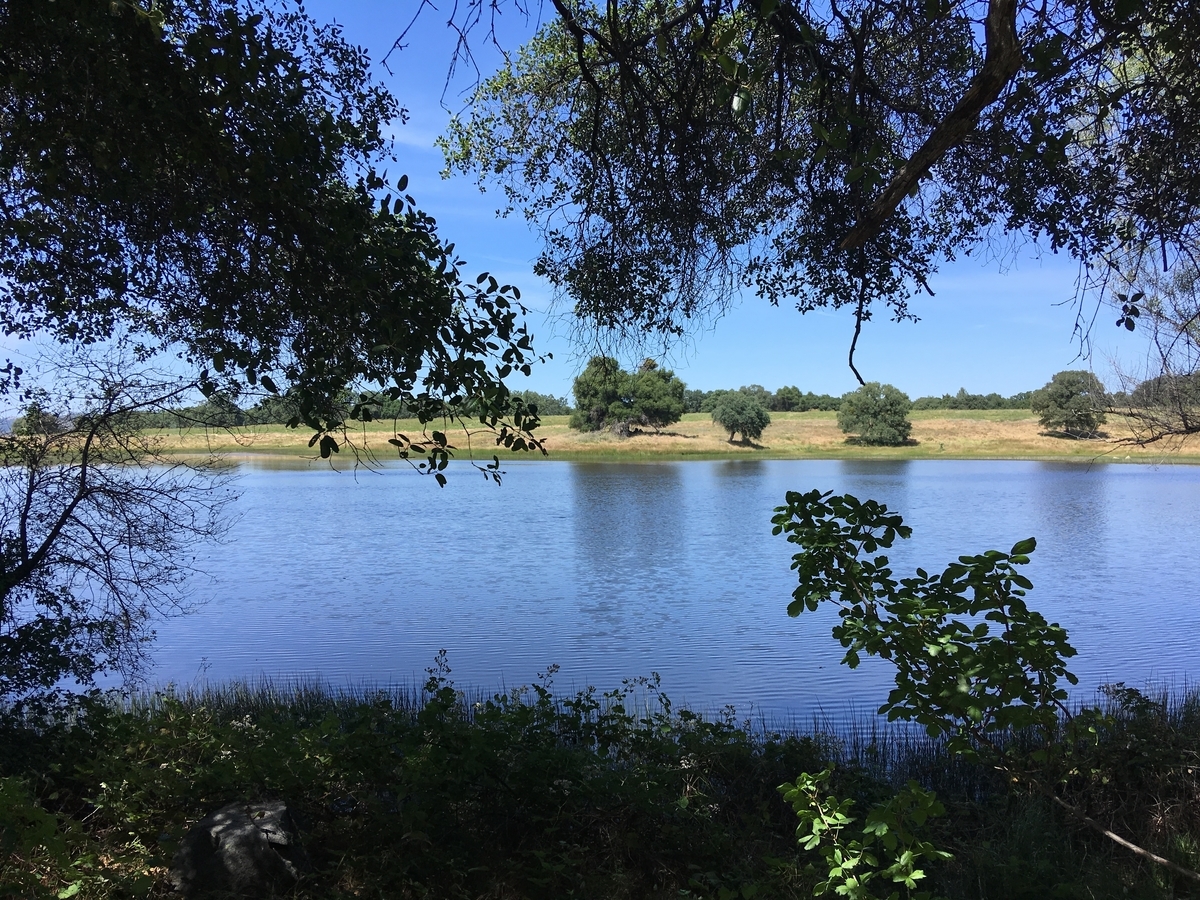 f:id:yukikoyanagida:20190620161155j:plain