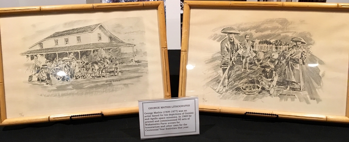 f:id:yukikoyanagida:20190620172253j:plain