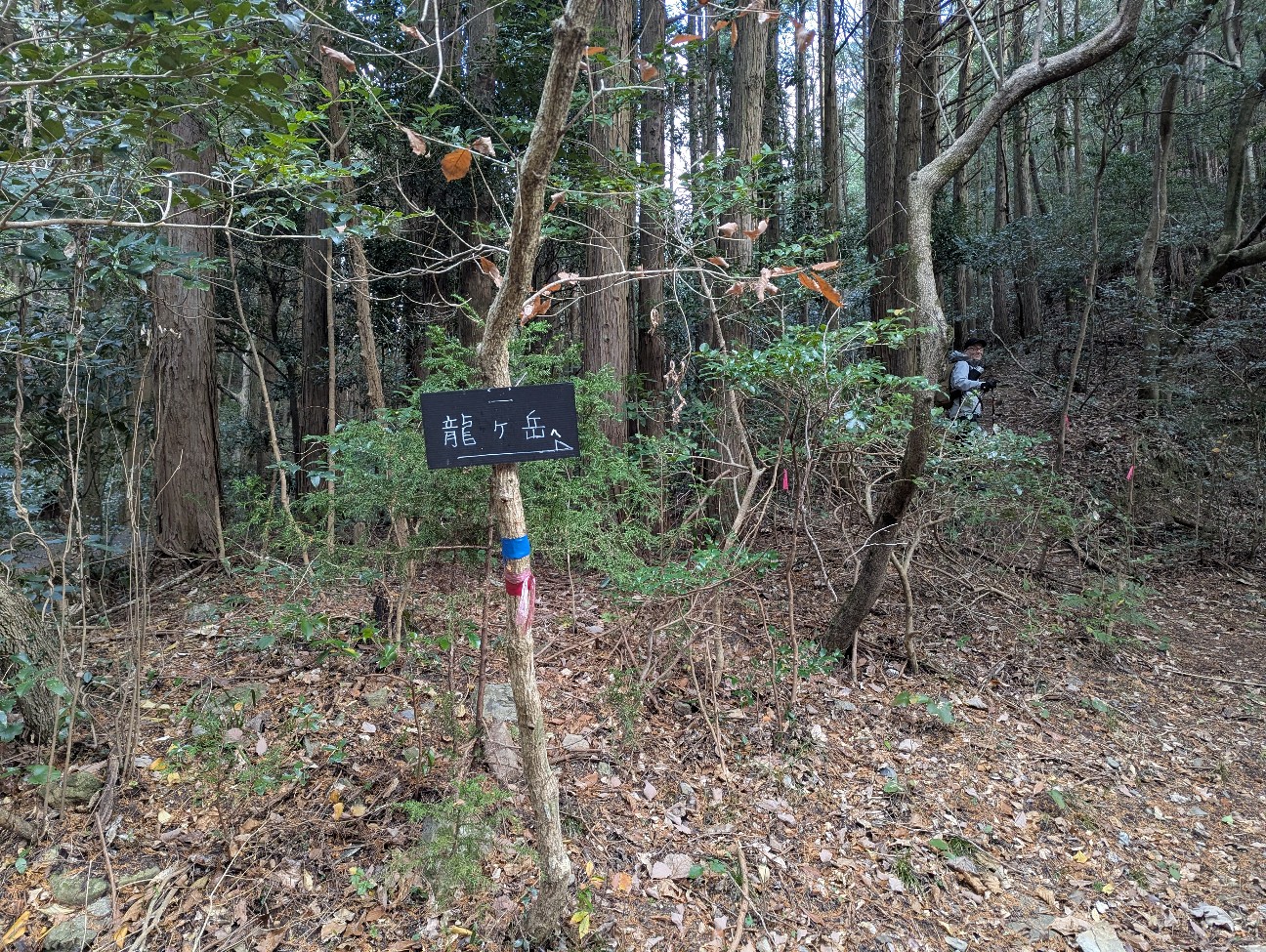 f:id:yukilily:20260105133409j:image