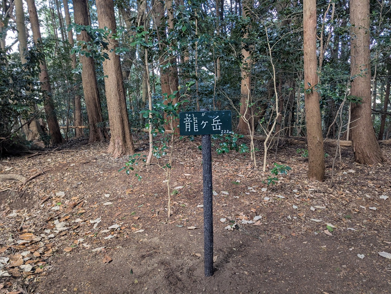 f:id:yukilily:20260105133430j:image