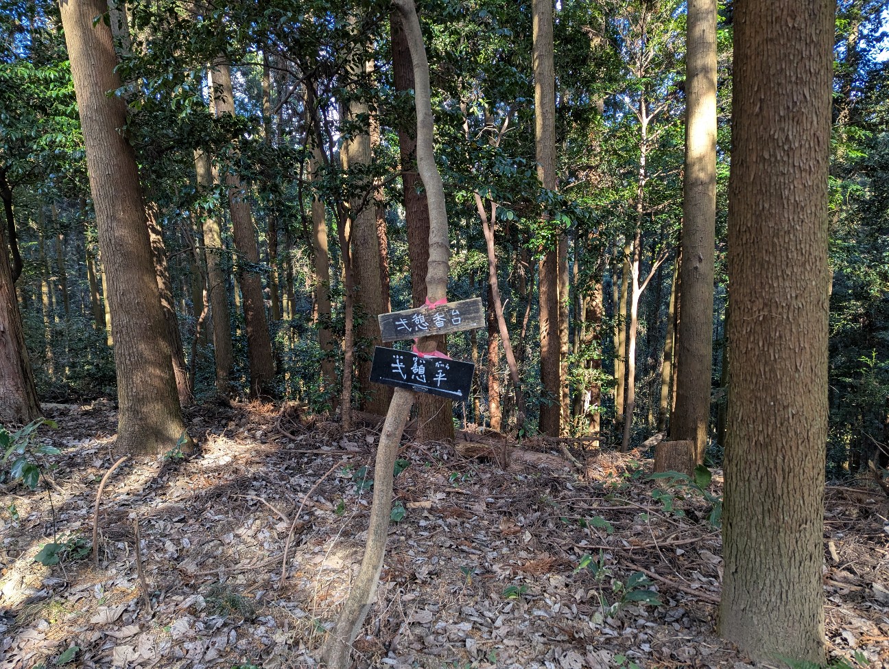 f:id:yukilily:20260105133525j:image