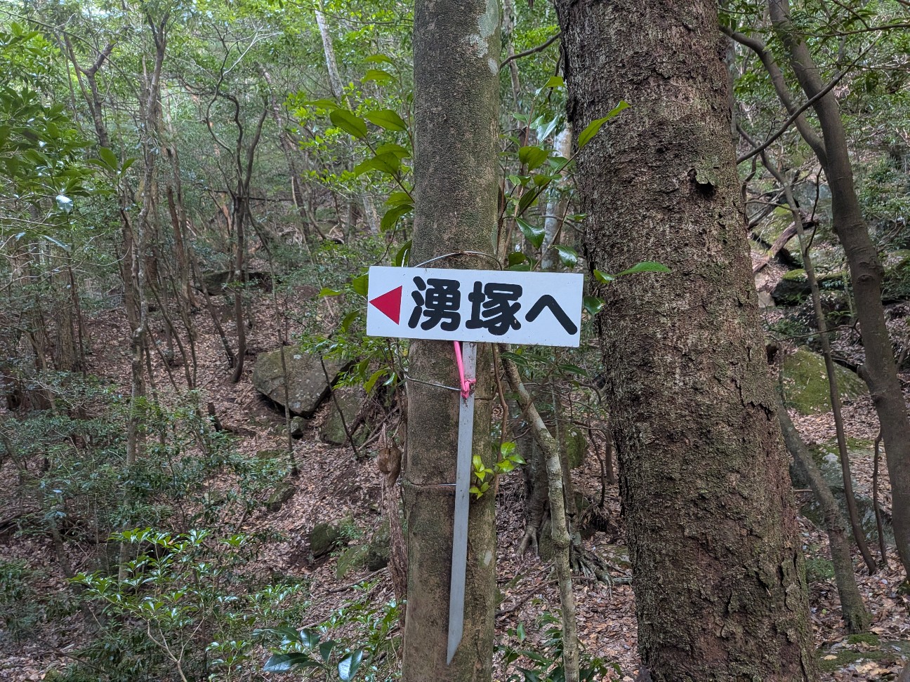f:id:yukilily:20260928181444j:image