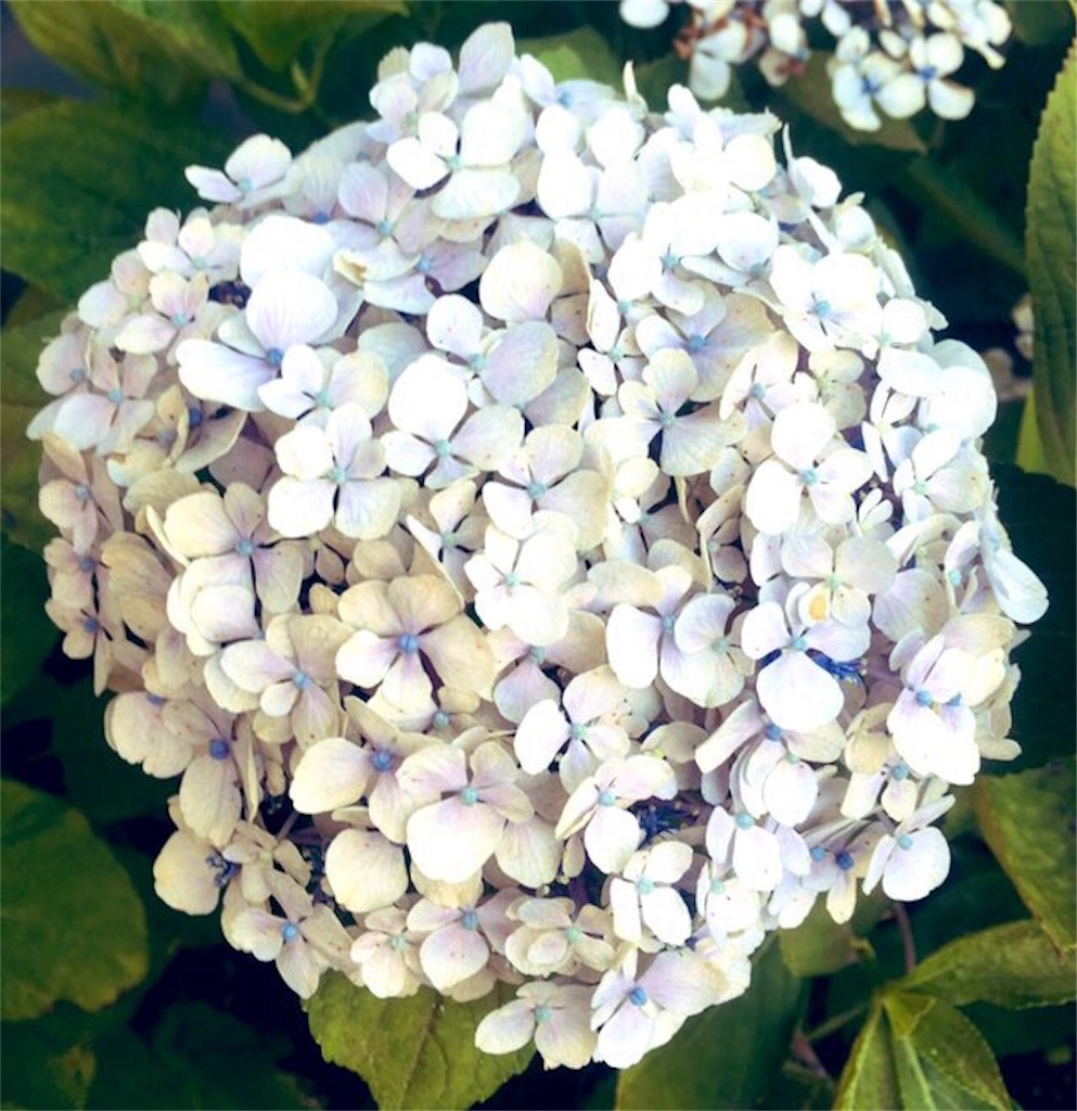 f:id:yukimado367:20190810131003j:image f:id:yukimado367:20190810131003j:image