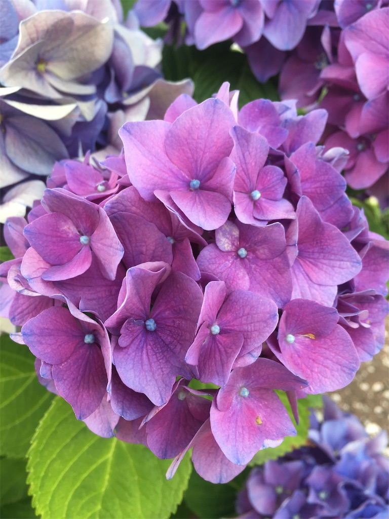 f:id:yukimado367:20190810131025j:image f:id:yukimado367:20190810131025j:image