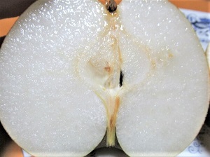 f:id:yukimaro03:20190930213241j:plain f:id:yukimaro03:20190930213241j:plain