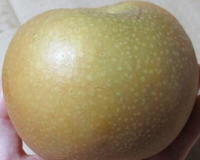 f:id:yukimaro03:20190930213608j:plain f:id:yukimaro03:20190930213608j:plain