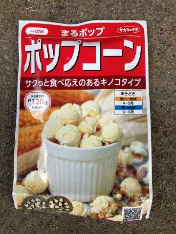 f:id:yukimaro03:20210812221826j:plain