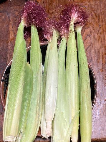 f:id:yukimaro03:20210812224215j:plain