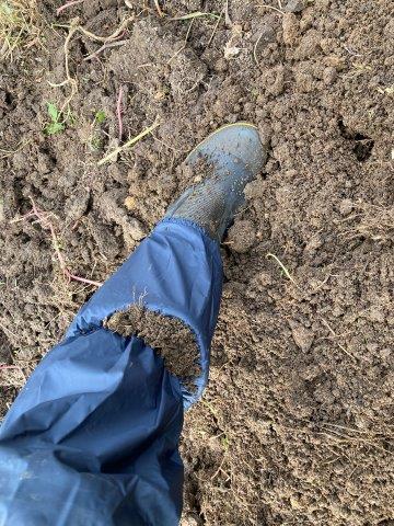 f:id:yukimaro03:20211031223601j:plain