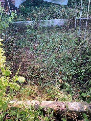 f:id:yukimaro03:20211101005904j:plain