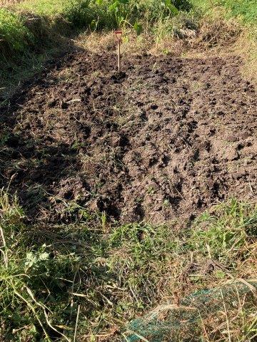 f:id:yukimaro03:20211101005918j:plain