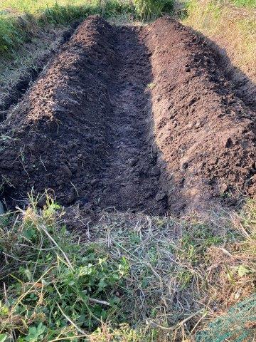 f:id:yukimaro03:20211101005921j:plain