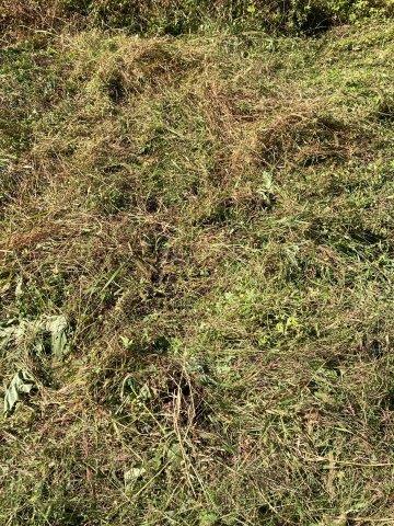 f:id:yukimaro03:20211101010541j:plain