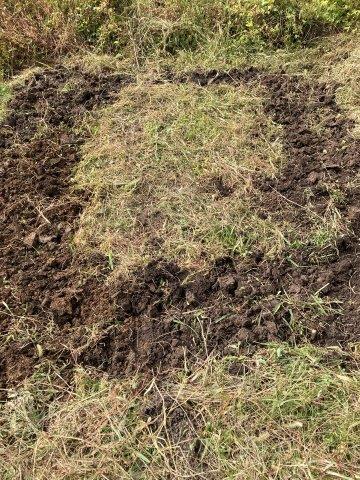 f:id:yukimaro03:20211101010545j:plain