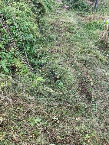 f:id:yukimaro03:20211101011111j:plain