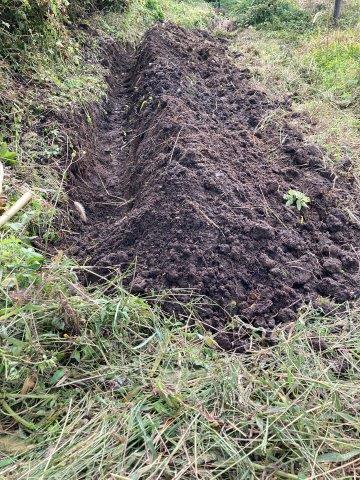 f:id:yukimaro03:20211101011117j:plain