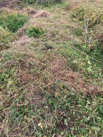 f:id:yukimaro03:20211104101902j:plain