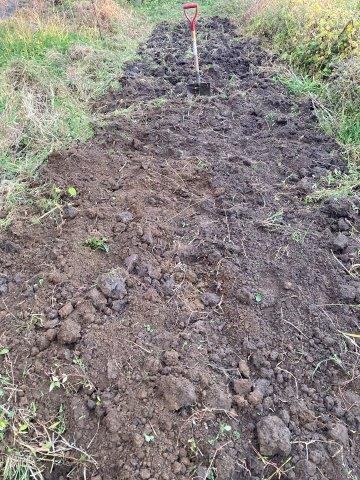 f:id:yukimaro03:20211104101907j:plain