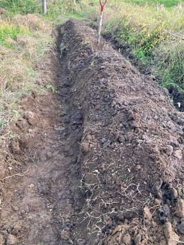 f:id:yukimaro03:20211104102220j:plain