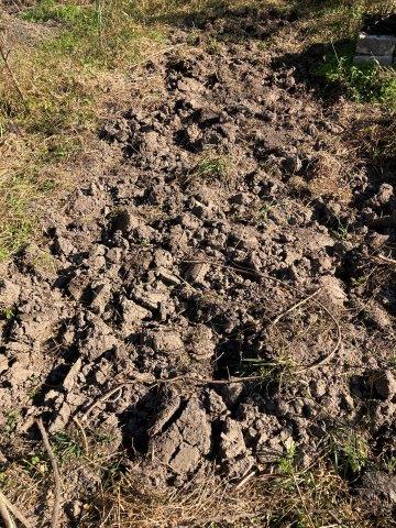 f:id:yukimaro03:20211104103250j:plain