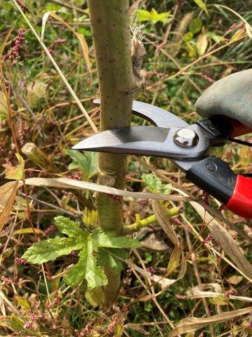 f:id:yukimaro03:20211104110205j:plain