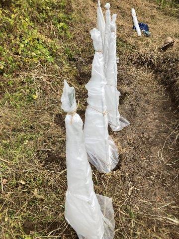 f:id:yukimaro03:20211104110215j:plain