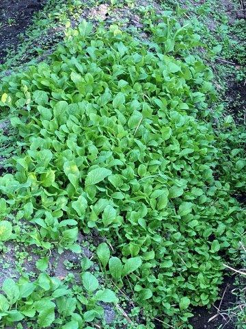 f:id:yukimaro03:20211113223253j:plain