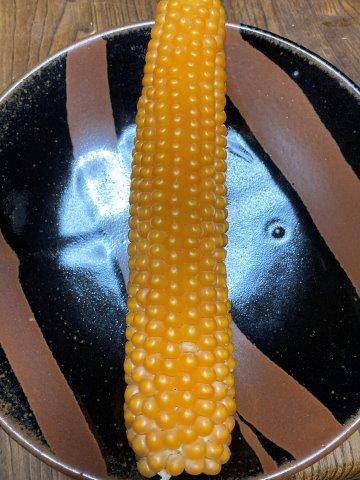 f:id:yukimaro03:20211117134347j:plain