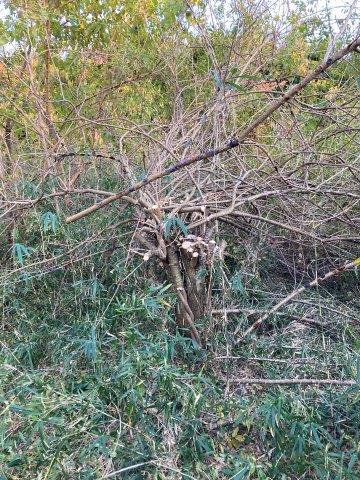 f:id:yukimaro03:20211117235144j:plain