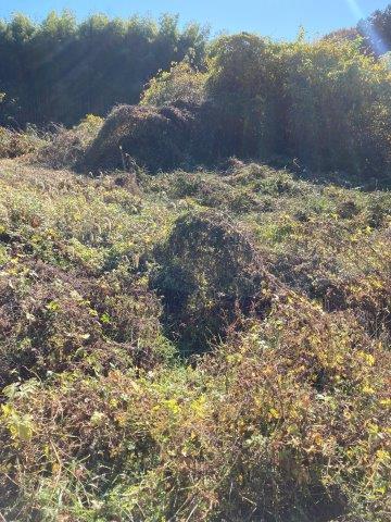 f:id:yukimaro03:20211117235647j:plain