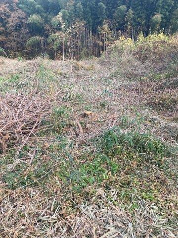 f:id:yukimaro03:20211117235710j:plain